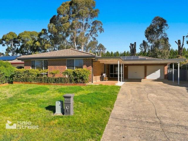 Comfortable Furnished Living with Plenty of Space