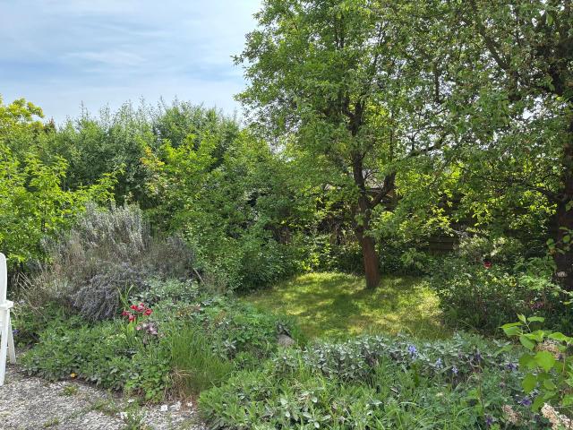 Comfortable living in quiet, green surroundings & relaxing outside area, Berlin Amsterdam Apartments for Rent