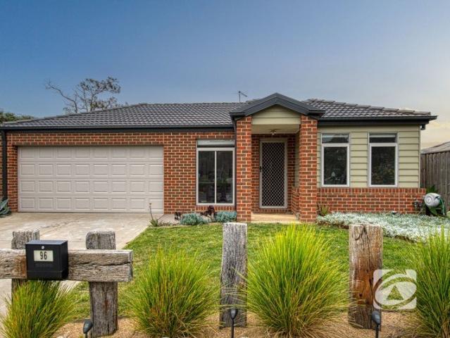 COMFORTABLE LIVING WITH ENTERTAINERS ALFRESCO