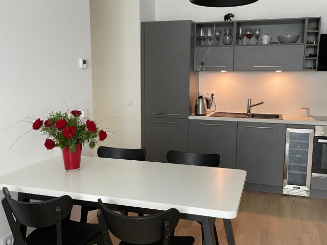Comfortable sunny flat with balcony in a modern new building
