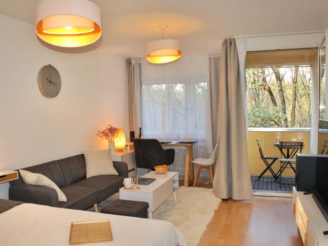 Comfy apartment in Munich first occupancy after renovation and furnishing