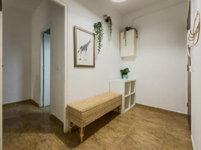 Comfy single bedroom in a student flat, in El Poble Sec Parc de Montjuïc
