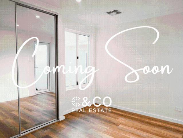 Coming Soon!