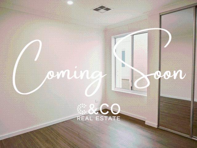 Coming Soon!
