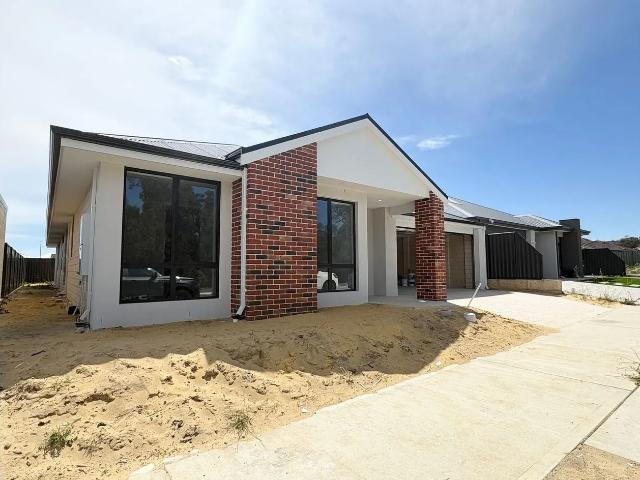 COMING SOON! Brand NEW Home in Wattle Grove. Family home OR opportunity for shared lease