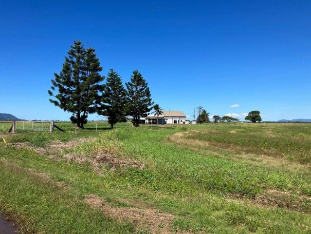 Commercial Opportunity | Large Shed | Potential Abattoir