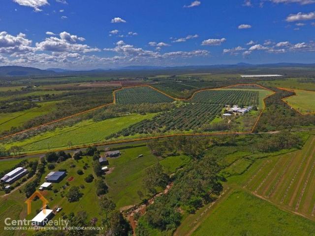COMMERCIAL AVOCADO FARM CLOSE TO TOWN
