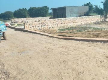 Gurgaon District, Haryana State - Garden
