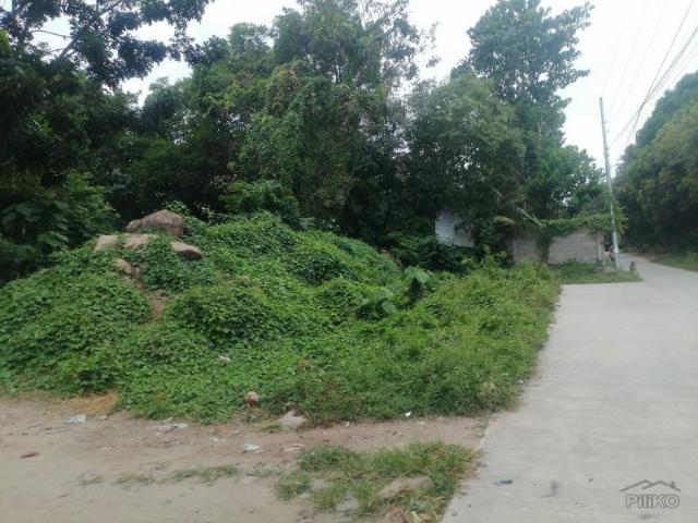 Commercial Lot for sale in Bacong