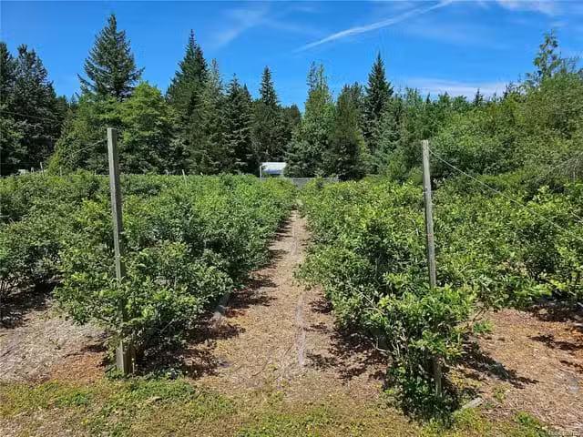 Commercial property for sale in Courtenay, 2156 Coleman Rd, 10.