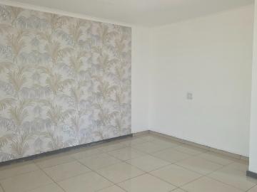 Commercial Property in Aquapark To Rent