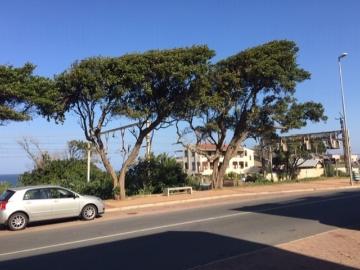 Commercial Property in Warner Beach For Sale