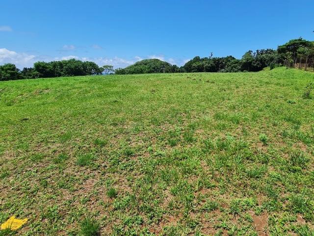 Commercial Property in Woodgrange For Sale