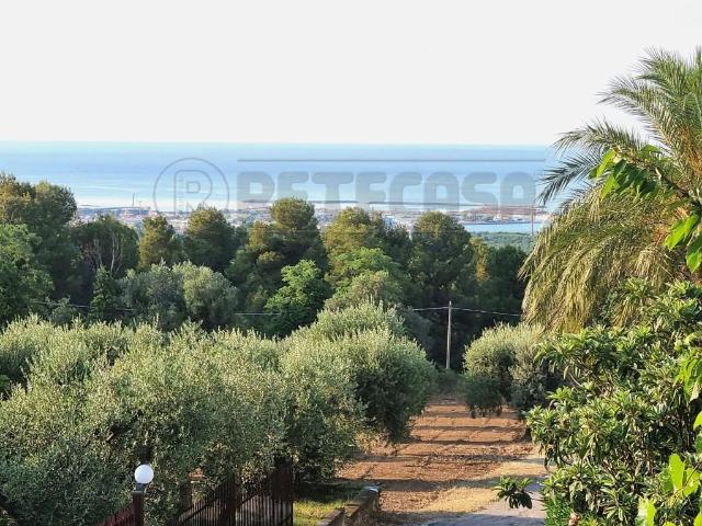 Commerciale 1700mq