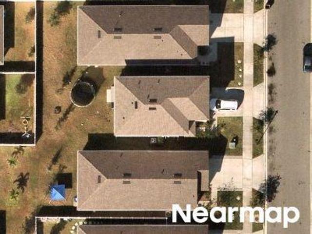 Common Crane Ct