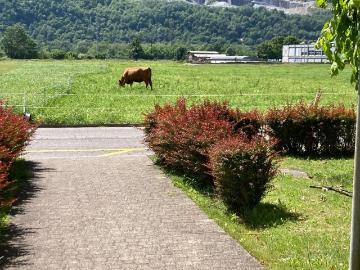 Via Quinta, Biasca, Biasca, Bezirk Riviera, Tessin