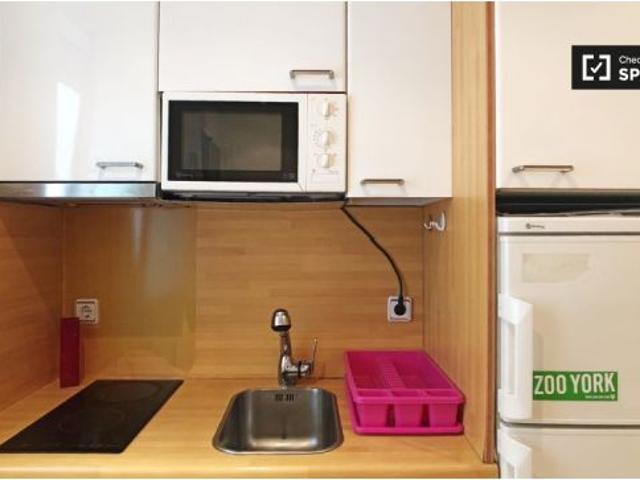Cómodo apartamento de 1 dormitorio con aire acondicionado para alquilar en lavapiés ecléctico