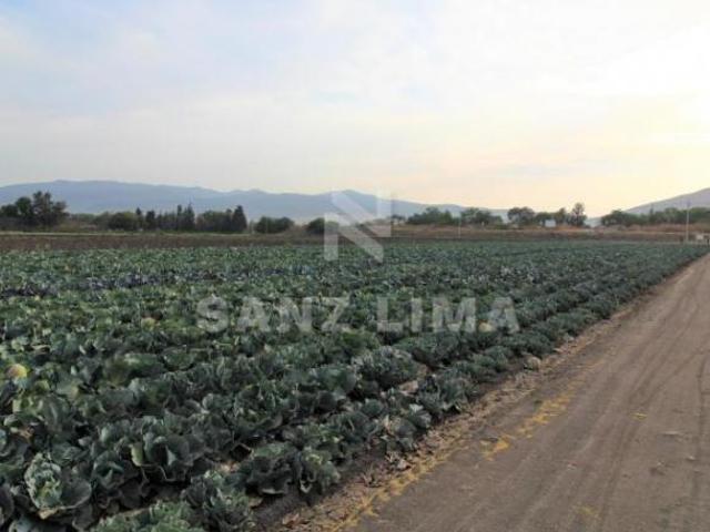 COMONFORT: MAGNIFICO TERRENO, USO INDUSTRIAL, RESIDENCIAL O AGRÍCOLA