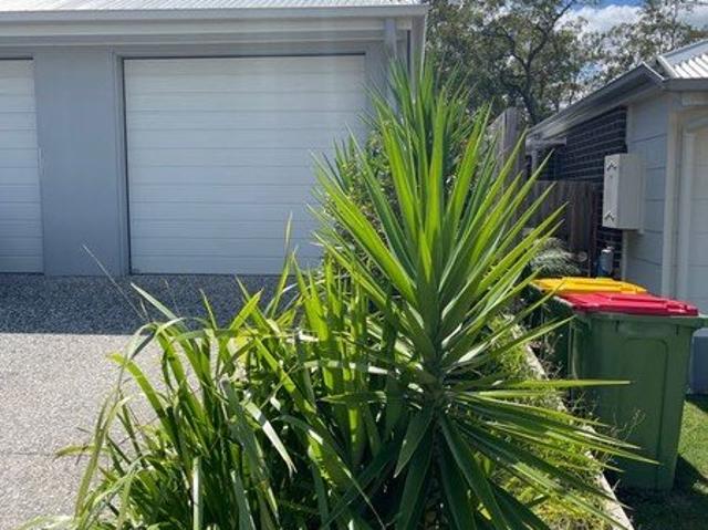 COMPACT DUPLEX SUIT SINGLE PERSON WITH DOG, BIG FENCED YARD, AUTO SLUG APPLY NOW FOR PRIVATE INSPECTION