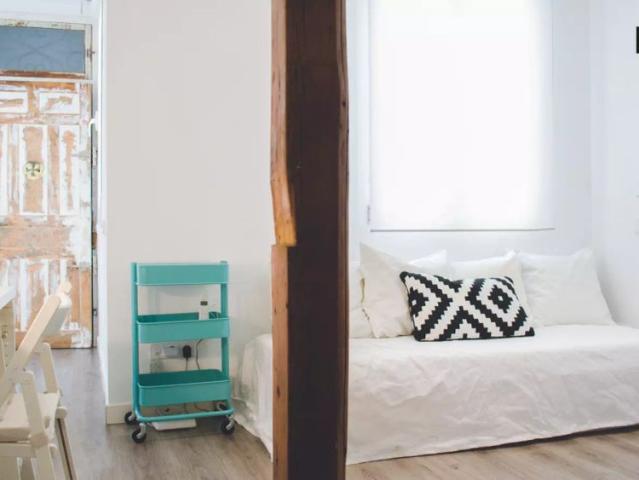 Compact 38 m2, pet friendly 1 bedroom apartment for rent in characterful Lavapiés