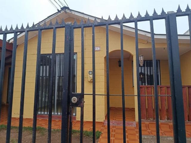 Compañías sector pinamar