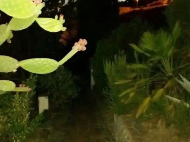 Cómpeta