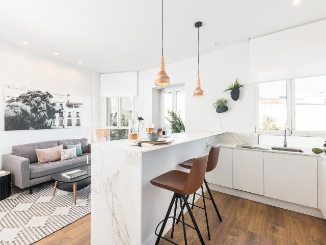 Completely renovated 2 bedroom apartment in La Latina