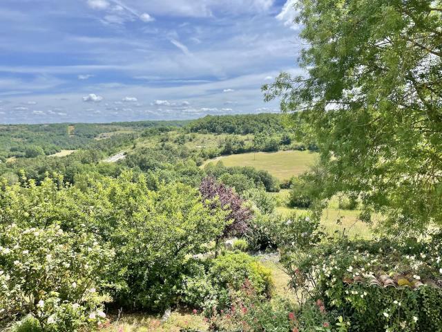Complex des gites avec piscine et 2 hectares 390m² Montcuq en Quercy Blanc