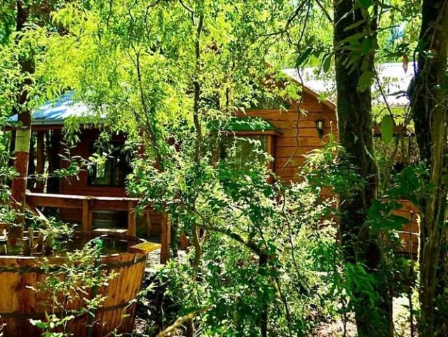 Complejo turístico en venta en Pucón | 12 dormitorios por 8000.00 en Pucón