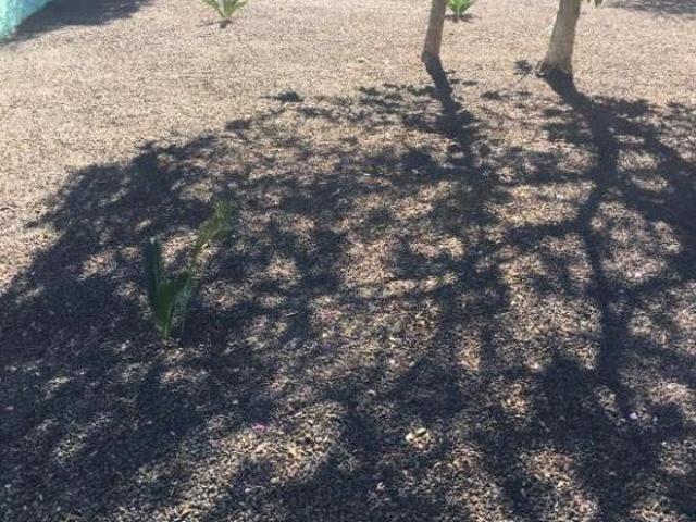COMPRA, VENDE, TROCA, TERRENO DE ESQUINA LCOM CASA, RUA DAS CAMELIAS, 125, HIGEANÓPOLIS, MARECHAL CÂ