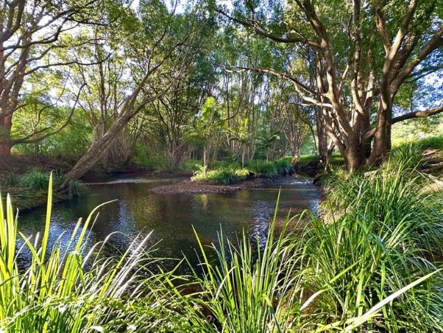 Contact Agent To Arrange Inspection Serene Creekfront Acreage Living