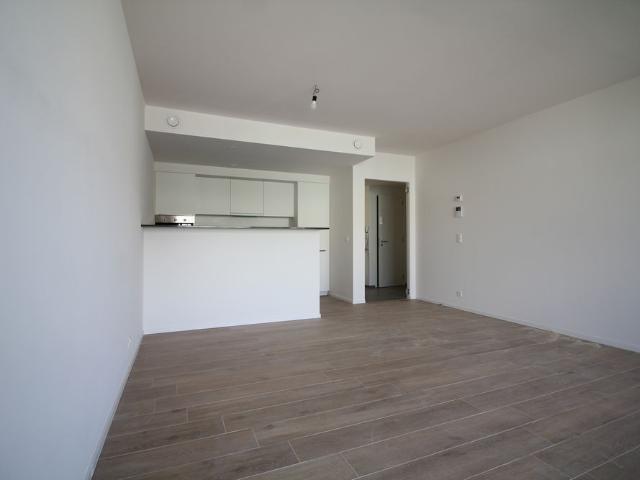 Contact the owner directly: 2 bedroom apartment for rent