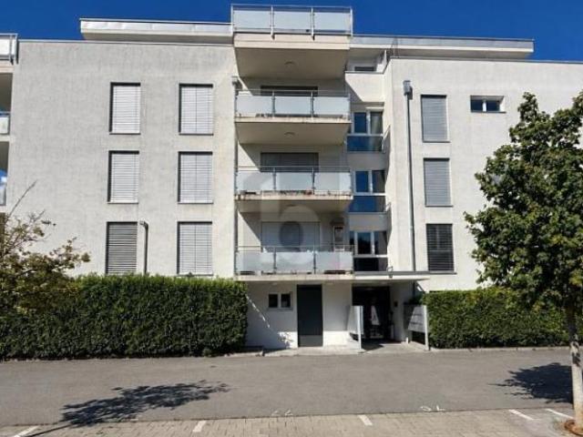 CONTEMPORAIN AU QUARTIER DES PÂQUERETTES