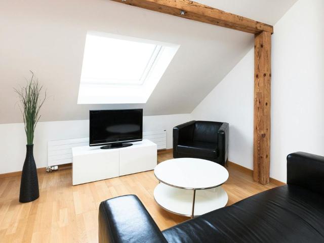 Contemporary 3.5 Room Apartment in Zurich – Ideal for Professionals & Families, Zurich Amsterdam Apartments for Rent
