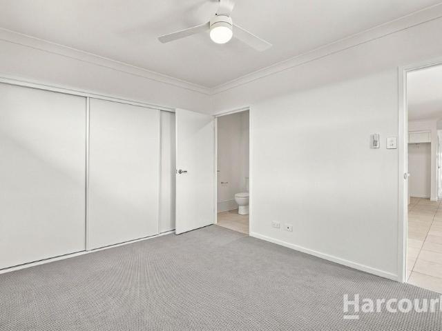 Contemporary Coastal Living in Beautiful Woodgate