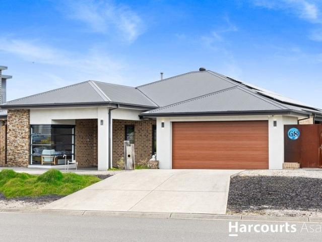 Contemporary Coastal Luxury with Four Living Zones, All Weather Alfresco & Sparkling Pool