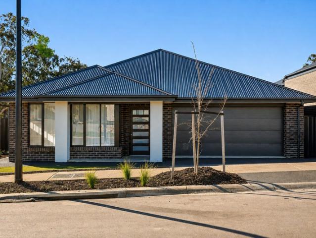 Contemporary Comfort with a Touch of Luxury