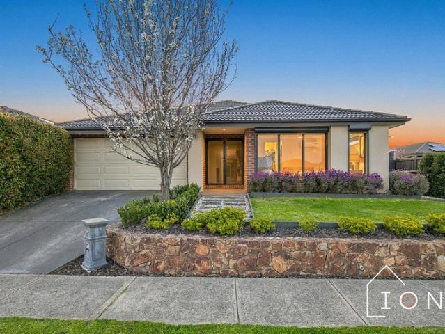 Contemporary Comfort with Room for Everyone