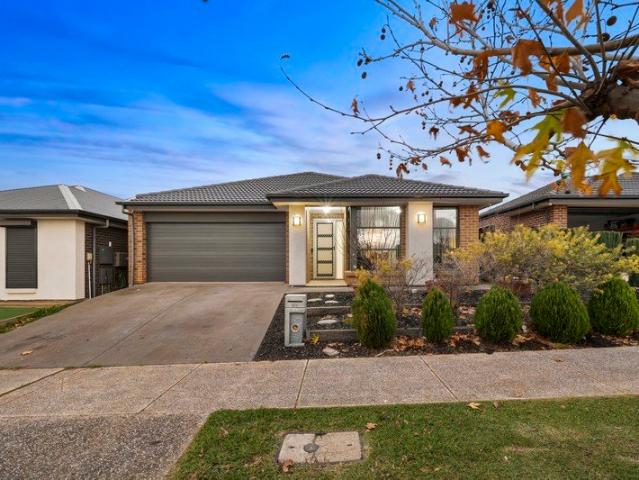 Contemporary Comfort with Room for the Whole Family