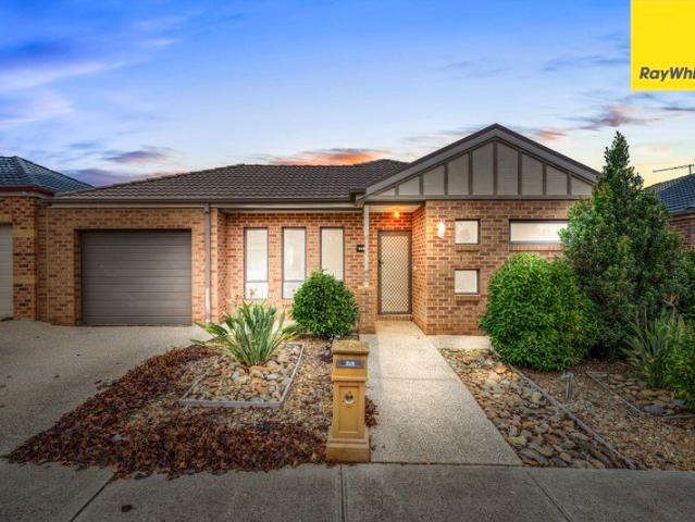 Contemporary Comfort in a Convenient Harkness Location