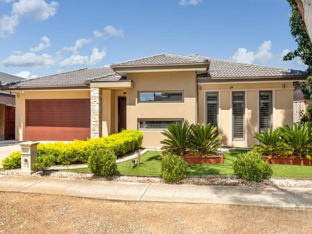 Contemporary & Comfortable