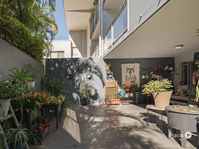 Contemporary Apartment with Expansive Terrace in the Heart of Teneriffe