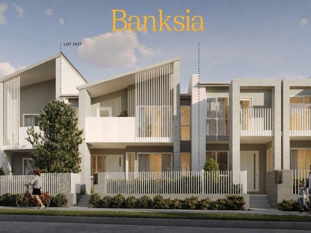 CONTEMPORARY BANKSIA LIVING