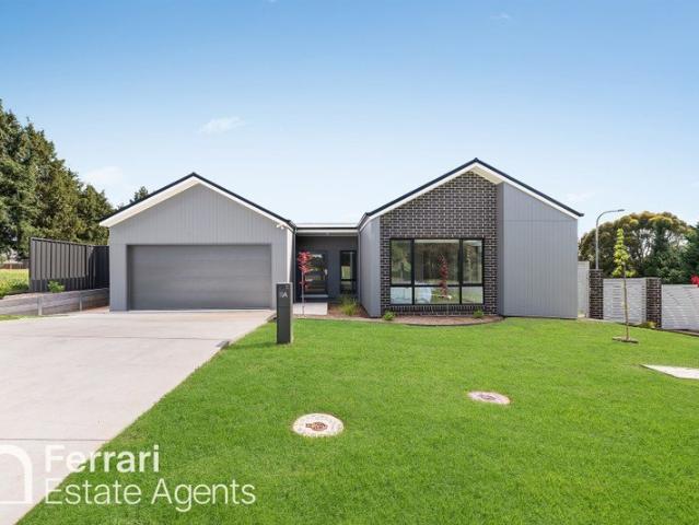 Contemporary Family Comfort in Peaceful West Orange