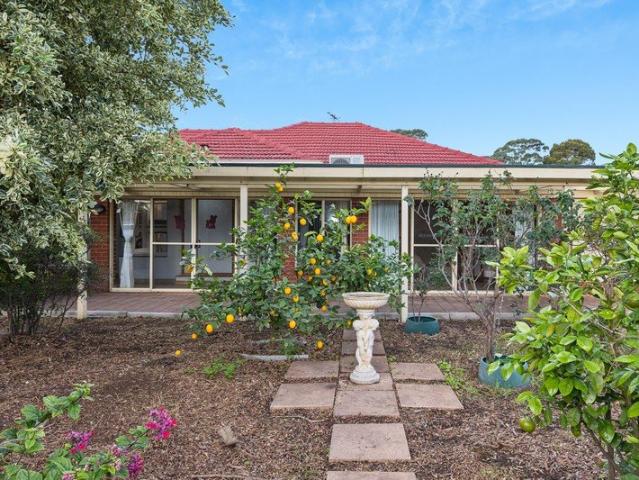 Contemporary Family Entertainer on a Sprawling Block