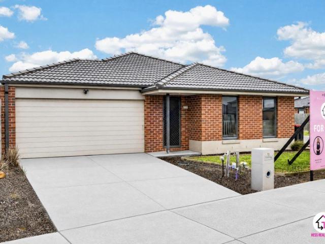 Contemporary Family Home in Wallan