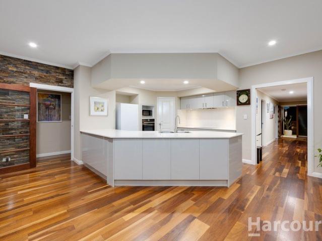 Contemporary Family Living with Space to Grow