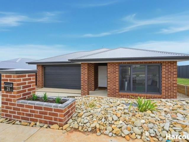 Contemporary Family Living with Space to Grow
