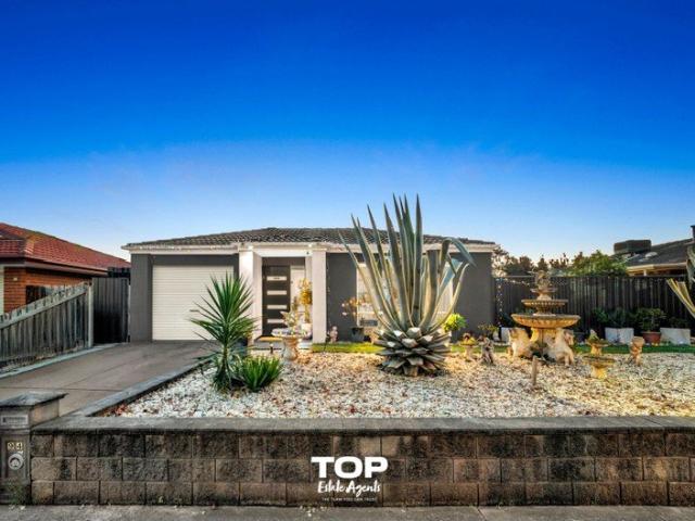 Contemporary Family Living with Theatre Room and Outdoor Spa Oasis