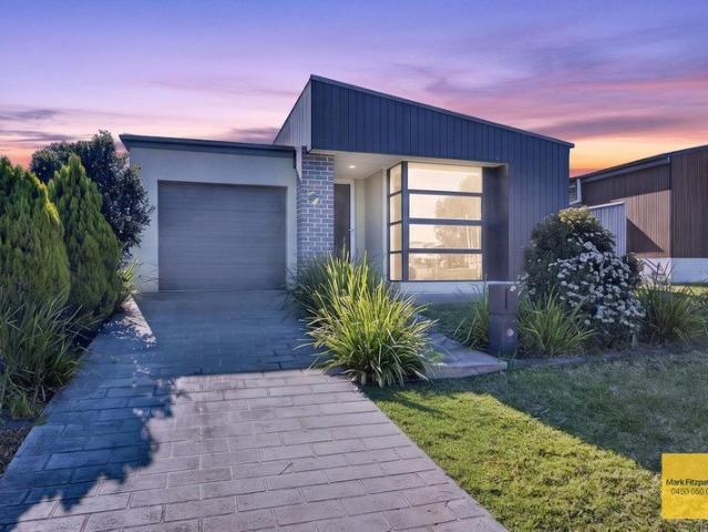 Contemporary Family Living in the Heart of Gregory Hills